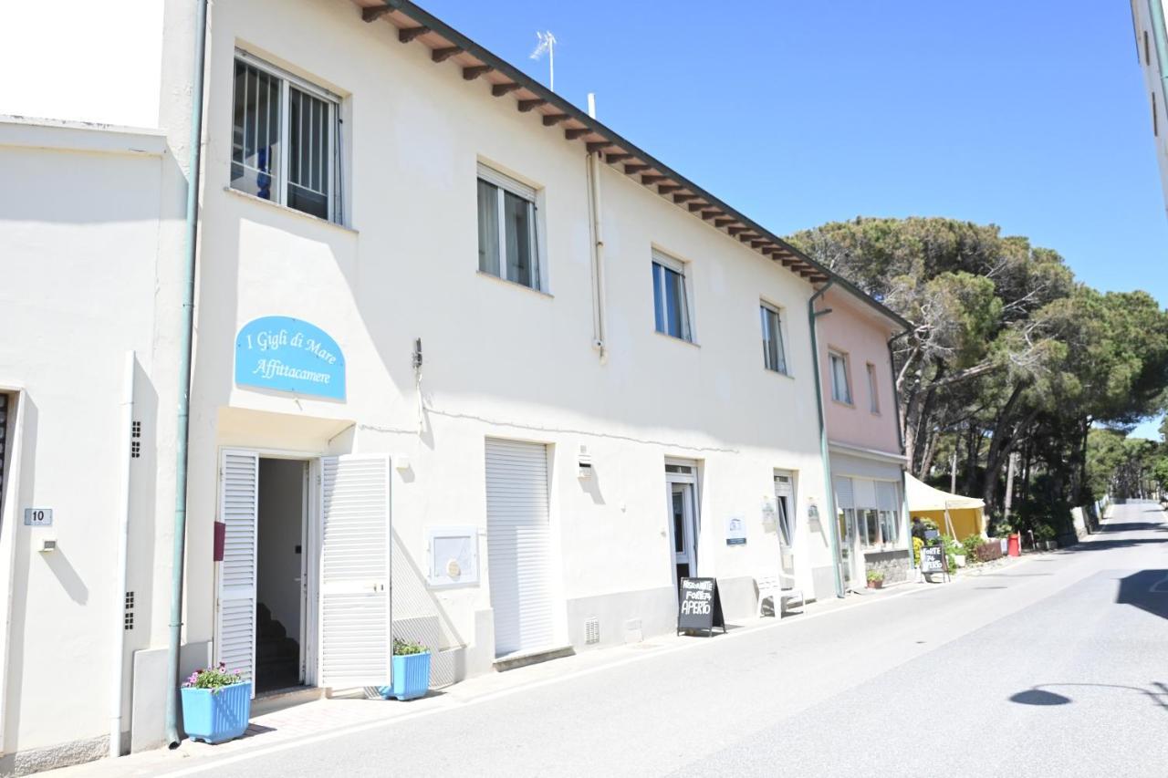 Affittacamere I Gigli Di Mare Marina Di Bibbona Zewnętrze zdjęcie