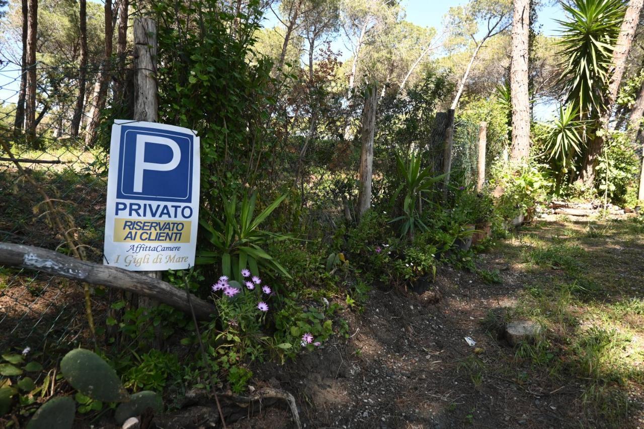 Affittacamere I Gigli Di Mare Marina Di Bibbona Zewnętrze zdjęcie