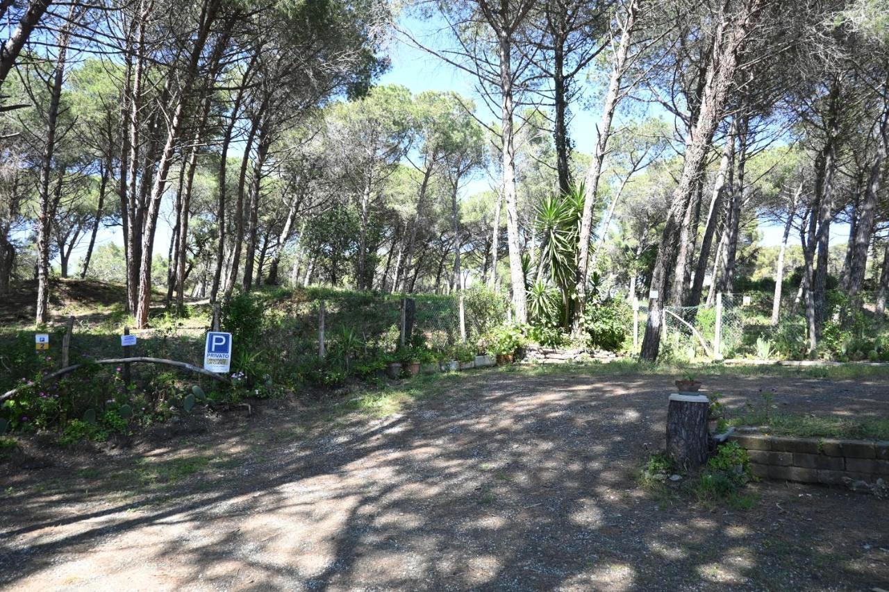 Affittacamere I Gigli Di Mare Marina Di Bibbona Zewnętrze zdjęcie