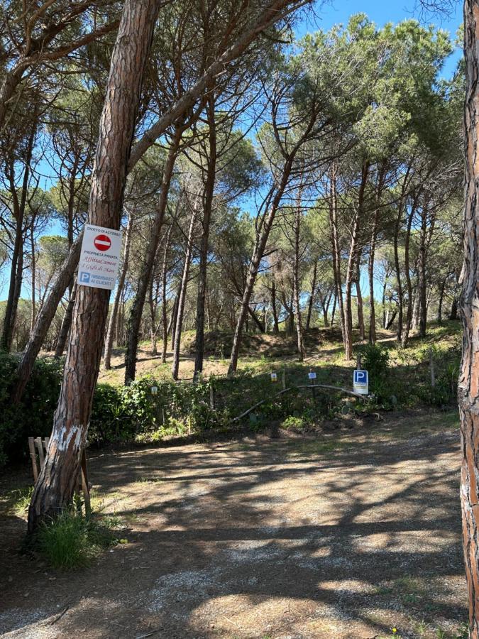 Affittacamere I Gigli Di Mare Marina Di Bibbona Zewnętrze zdjęcie